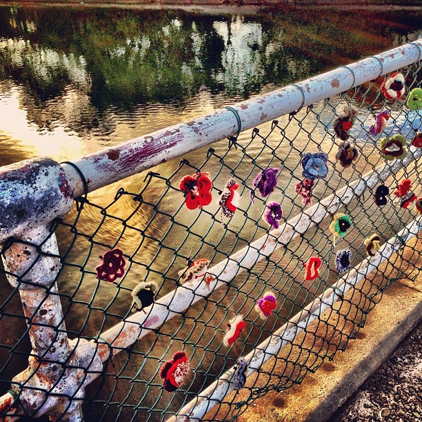 Not quite the #lovelocks of Paris. Lovehairbands of Islington? #newcastle #Australia