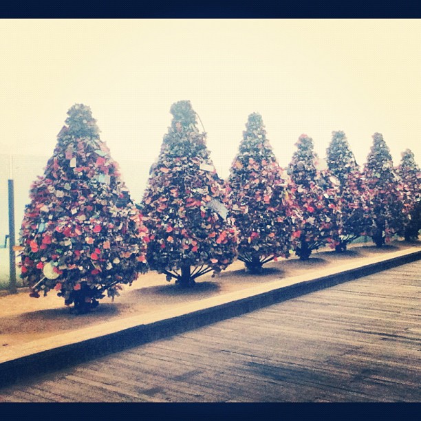 #NamsanTower Love Lock Trees!