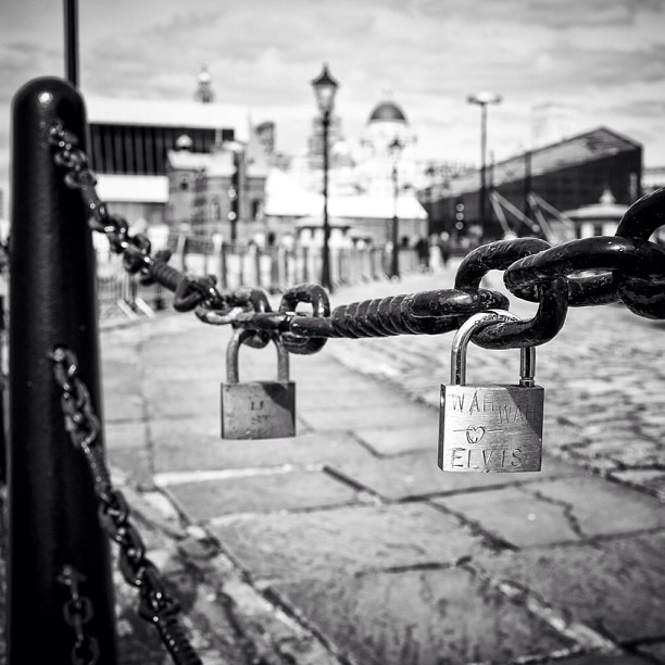 Elvis is in the area ! #lovelocks #liverpool #albertdock #blackandwhitephotography#blackandwhiteyear #blackandwhiteonly #blackandwhite #fence #ig #igrs #igers #photooftheday #picoftheday