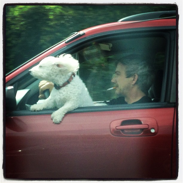 Make Speed #MakeLoveLocks  #SnoopyLovesRoadTrips #SmokingaCigWhileMyDogIsOutTheWindow #TheLadiesLoveIt