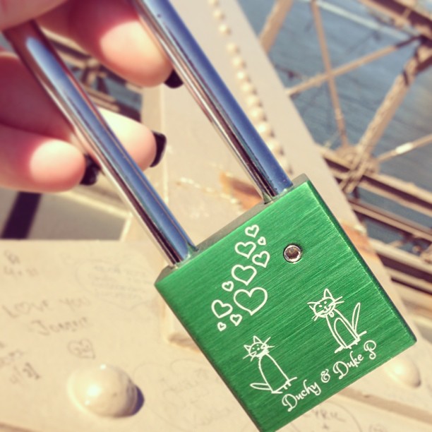 the otherside to our love lock - our babies needed a mention too #makelovelocks #bsh #britishbluecat #brooklynbridge @bennyp013