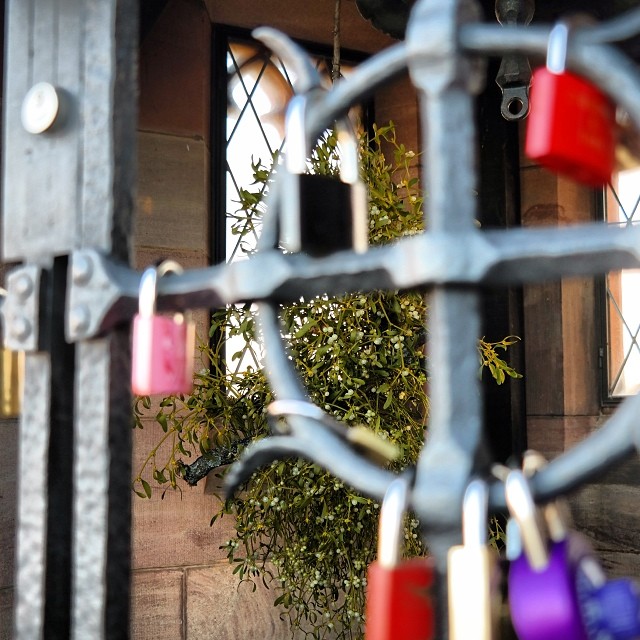 #lovelocks #mistletoe 