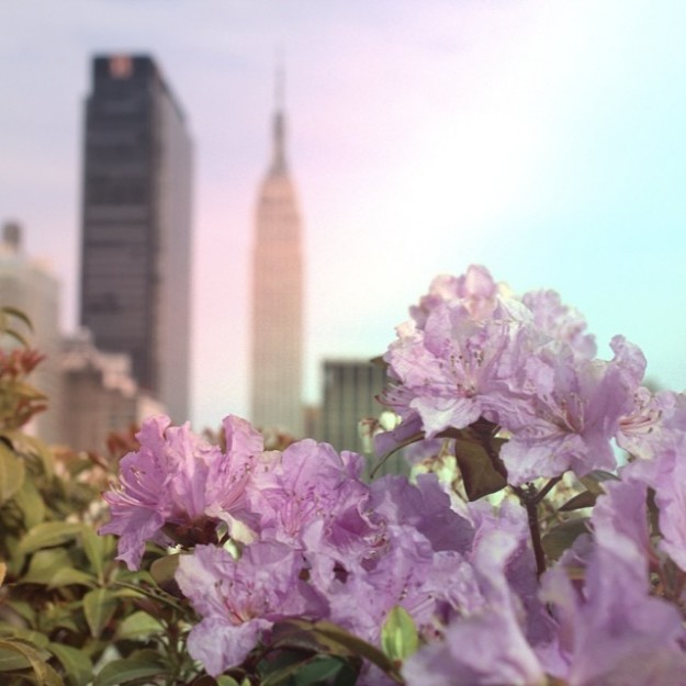 Love-makes-everything-better