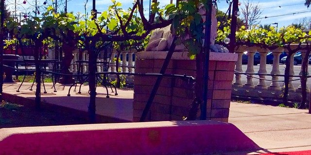 Its-time-to-roll-out-the-red-carpet-this-weekend.-On-Site-Vineyard-Happy-spring-napa-napavalley-wine