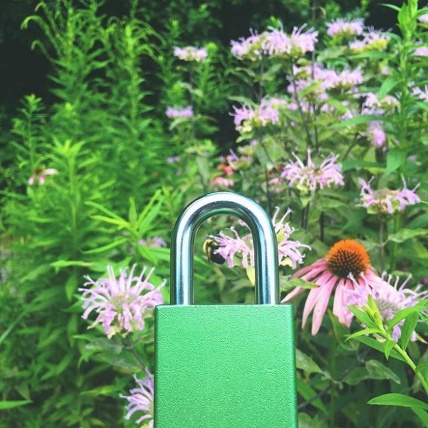 Hey-there-Mr.-Bee-GoGreen-SaveTheBees